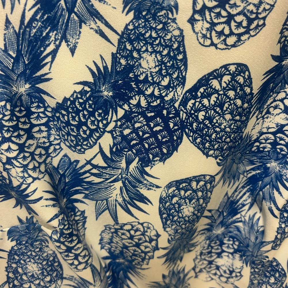 Blue and White Sleeveless pineapple Dress - Picture 3 of 7
